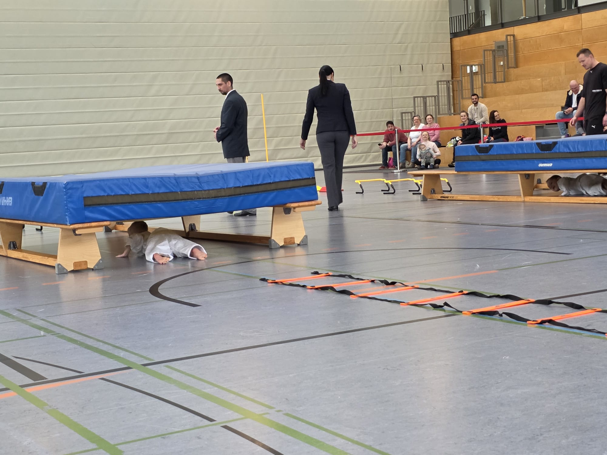 Vergrößerbares Bild